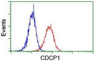 Image no. 3 for anti-CUB Domain Containing Protein 1 (CDCP1) antibody (ABIN1497412) (CDCP1 anticorps)