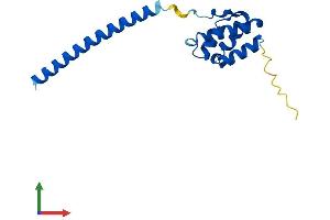 AlphaFold protein structure predicition of Human Recombinant LDOC1 Protein, UniprotID O95751