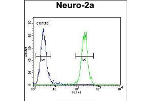 Flow cytometric analysis of Neuro-2a cells (right histogram) compared to a negative control cell (left histogram). (MAF1 anticorps  (AA 90-117))