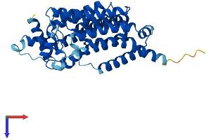 AlphaFold protein structure predicition of Mouse Recombinant G6pc3 Protein, UniprotID Q6NSQ9