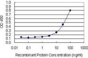 Detection limit for recombinant GST tagged MMP3 is 1 ng/ml as a capture antibody. (MMP3 anticorps  (AA 22-131))