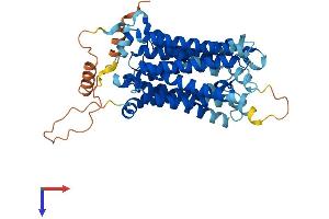 AlphaFold protein structure predicition of Mouse Recombinant Slc29a3 Protein, UniprotID Q99P65