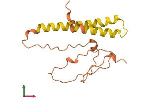 AlphaFold protein structure predicition of Human Recombinant LINC00469 Protein, UniprotID Q8N7U9