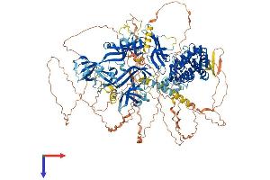 AlphaFold protein structure predicition of Human Recombinant UBE2O Protein, UniprotID Q9C0C9