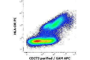 Flow cytometry multicolor surface staining pattern of human stimulated (GM-CSF + IL-4) monocytes using anti-human HLA-DR (L243) PE antibody (10 μL reagent / 100 μL of peripheral whole blood) and anti-human CD273 (24F. (PDCD1LG2 anticorps)