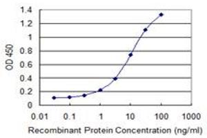 Detection limit for recombinant GST tagged GNL3 is 0. (Nucleostemin anticorps  (AA 328-427))