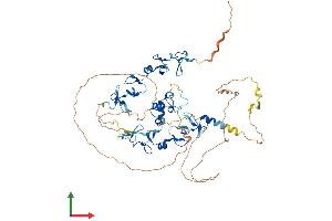 AlphaFold protein structure predicition of Mouse Recombinant Ablim2 Protein, UniprotID Q8BL65