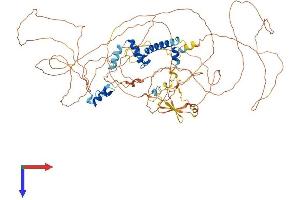AlphaFold protein structure predicition of Human Recombinant ZNF839 Protein, UniprotID A8K0R7