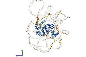 AlphaFold protein structure predicition of Mouse Recombinant Sik2 Protein, UniprotID Q8CFH6