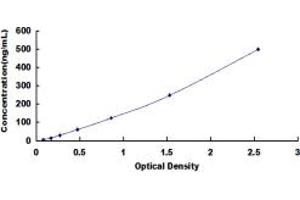 Glutamate Dehydrogenase 1 (GLUD1) ELISA Kit