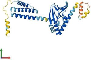 AlphaFold protein structure predicition of Mouse Recombinant Popdc3 Protein, UniprotID Q9ES81