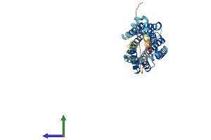 AlphaFold protein structure predicition of Human Recombinant LTB4R Protein, UniprotID Q15722