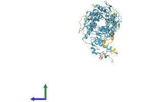 AlphaFold protein structure predicition of Human Recombinant ZNF799 Protein, UniprotID Q96GE5