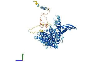 AlphaFold protein structure predicition of Human Recombinant CHPF2 Protein, UniprotID Q9P2E5