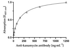 Affinity determination of anti-kanamycin specific mAb against kanamycin-BSA conjugate. (Kanamycin anticorps)