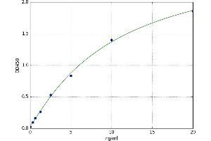 A typical standard curve