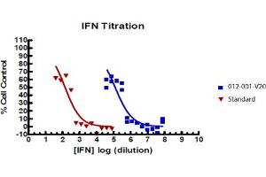 SDS-PAGE of Rat Interferon gamma Recombinant Protein Bioactivity of Rat Interferon gamma Recombinant Protein. (IFNG1-2 Protéine)