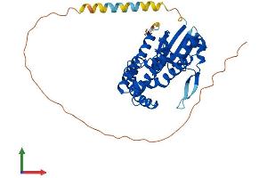 AlphaFold protein structure predicition of Mouse Recombinant Ptges2 Protein, UniprotID Q8BWM0