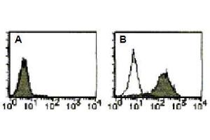 Flow Cytometry (FACS) image for anti-CD274 (PD-L1) antibody (FITC) (ABIN1449171) (PD-L1 anticorps  (FITC))