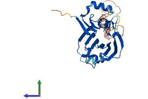 AlphaFold protein structure predicition of Human Recombinant TIPRL Protein, UniprotID O75663