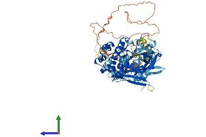 AlphaFold protein structure predicition of Mouse Recombinant Bmx Protein, UniprotID P97504