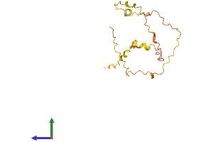 AlphaFold protein structure predicition of Human Recombinant BRWD1-AS2 Protein, UniprotID P59051 (BRWD1-AS2 Protein (AA 1-145) (His tag))