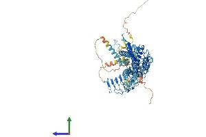 AlphaFold protein structure predicition of Mouse Recombinant Rxfp1 Protein, UniprotID Q6R6I7