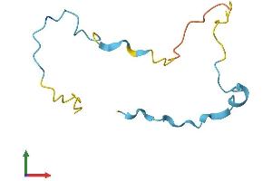 AlphaFold protein structure predicition of Human Recombinant SMPX Protein, UniprotID Q9UHP9