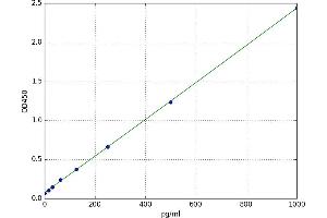 Paired Box 8 (PAX8) ELISA Kit