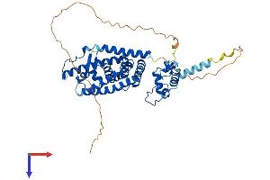 AlphaFold protein structure predicition of Mouse Recombinant Nr1h2 Protein, UniprotID Q60644