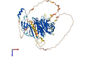 AlphaFold protein structure predicition of Human Recombinant DCAF15 Protein, UniprotID Q66K64
