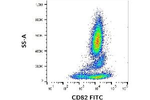 Surface staining of CD82 on human peripheral blood cells with anti-CD82 (C33) FITC. (CD82 anticorps  (FITC))