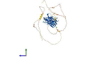 AlphaFold protein structure predicition of Human Recombinant RELB Protein, UniprotID Q01201