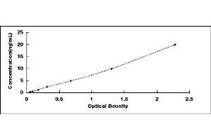 Typical standard curve (MAG Kit ELISA)