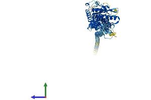 AlphaFold protein structure predicition of Human Recombinant GBP3 Protein, UniprotID Q9H0R5