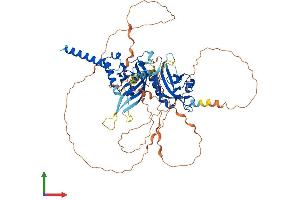 AlphaFold protein structure predicition of Mouse Recombinant Sim2 Protein, UniprotID Q61079