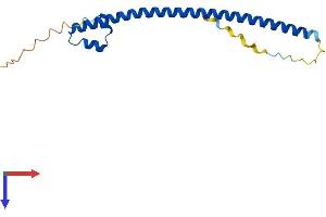 AlphaFold protein structure predicition of Mouse Recombinant Maff Protein, UniprotID O54791