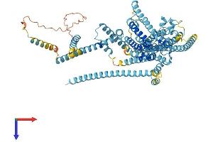 AlphaFold protein structure predicition of Mouse Recombinant Tmc1 Protein, UniprotID Q8R4P5