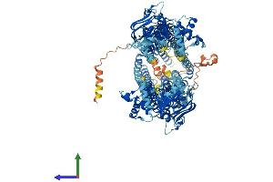 AlphaFold protein structure predicition of Human Recombinant ABCB5 Protein, UniprotID Q2M3G0