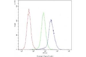 Flow cytometry testing of human Caco-2 cells with IDE antibody at 1ug/10^6 cells (blocked with goat sera) (IDE anticorps)