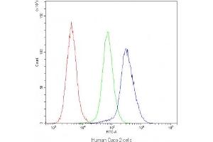 Flow cytometry testing of human Caco-2 cells with IDE antibody at 1ug/10^6 cells (blocked with goat sera)