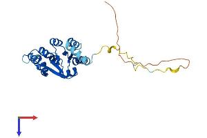 AlphaFold protein structure predicition of Human Recombinant UTP23 Protein, UniprotID Q9BRU9