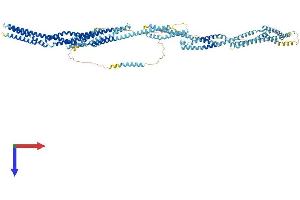 AlphaFold protein structure predicition of Mouse Recombinant Syne3 Protein, UniprotID Q4FZC9