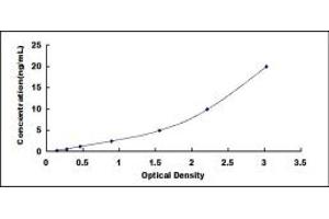 Typical standard curve (MT1E Kit ELISA)