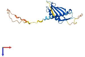 AlphaFold protein structure predicition of Mouse Recombinant Ddit4l Protein, UniprotID Q8VHZ5