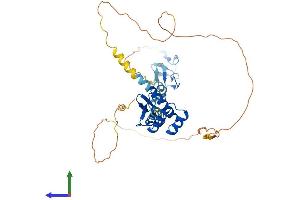 AlphaFold protein structure predicition of Mouse Recombinant Lhx3 Protein, UniprotID P50481