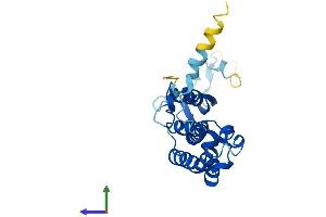 AlphaFold protein structure predicition of Human Recombinant GINS3 Protein, UniprotID Q9BRX5