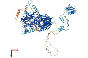 AlphaFold protein structure predicition of Human Recombinant CPSF2 Protein, UniprotID Q9P2I0