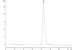 The purity of Mouse CD39 is greater than 95 % as determined by SEC-HPLC.