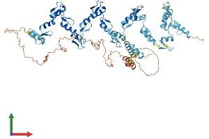 AlphaFold protein structure predicition of Human Recombinant ZNF418 Protein, UniprotID Q8TF45